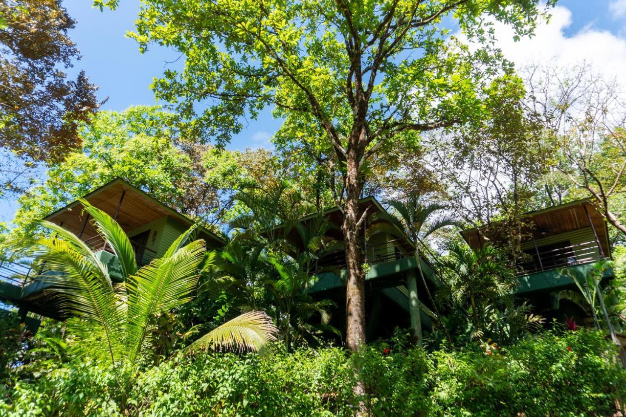 Arbol Verde Villas Ojochal Extérieur photo