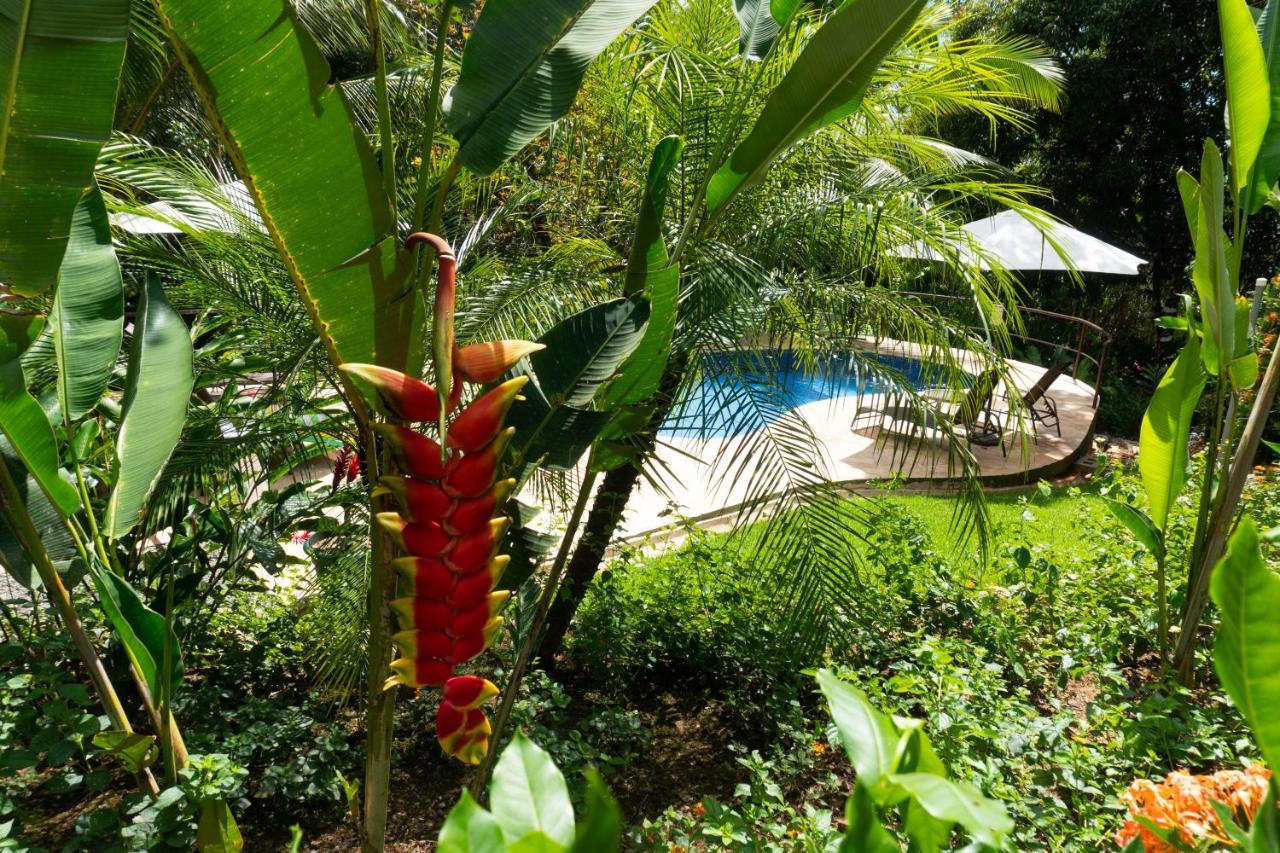 Arbol Verde Villas Ojochal Extérieur photo