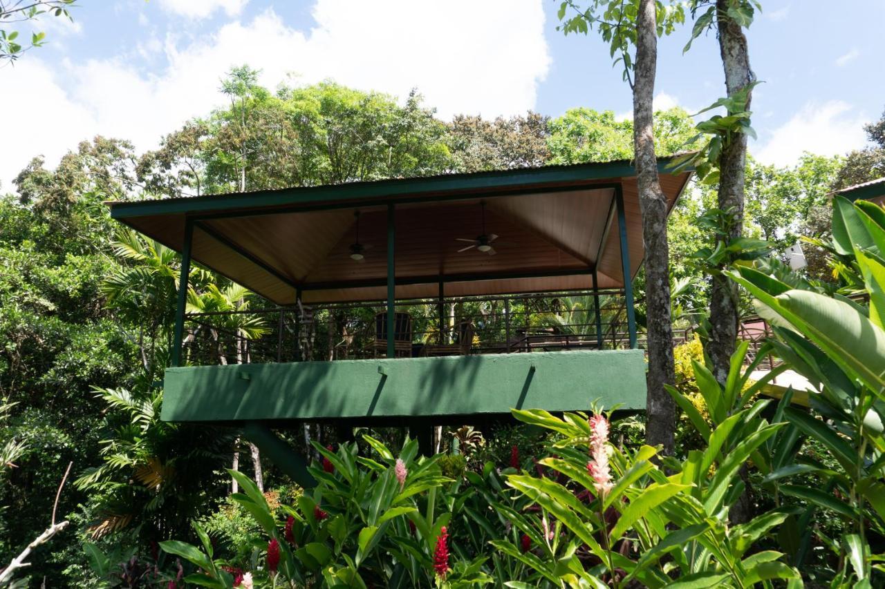 Arbol Verde Villas Ojochal Extérieur photo